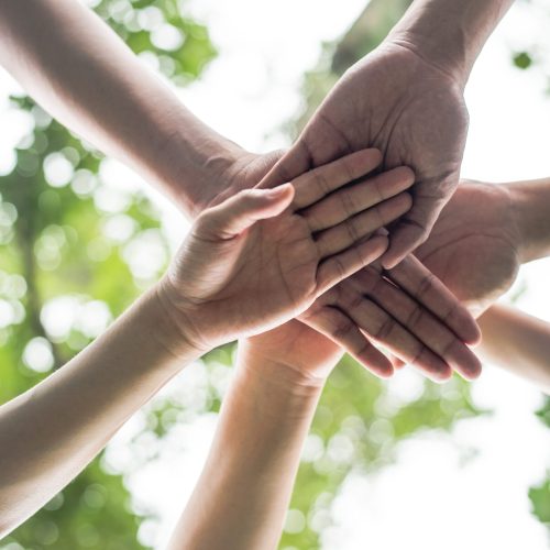 Close up team students teamwork stack hands together. Startup, Success concept.
